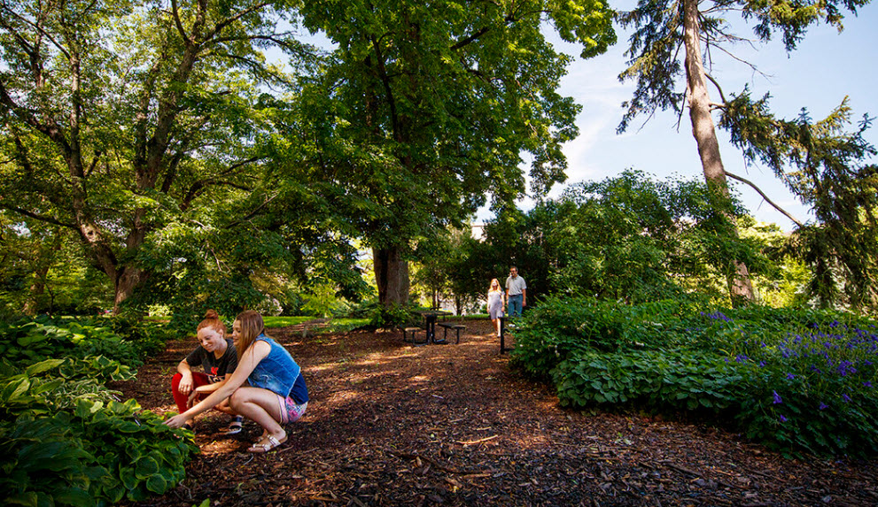 Maxwell Arboretum, United States